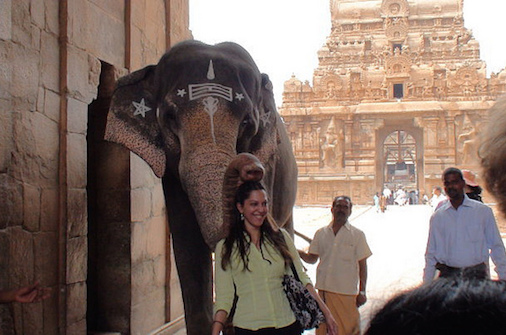 India temple elephant