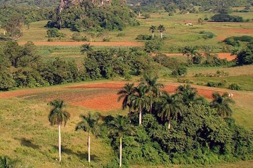 vinales valley cuba