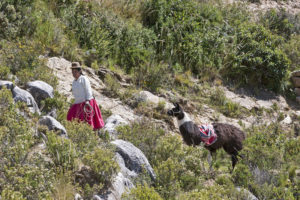 bolivian indigenous people