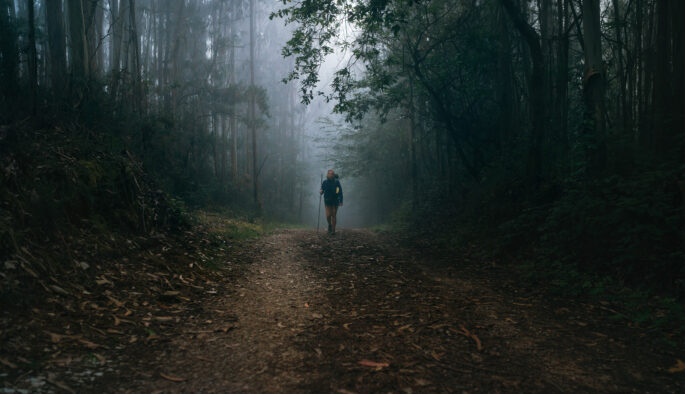 Twin Pilgrimages: Japan’s Kumano and Spain’s Camino