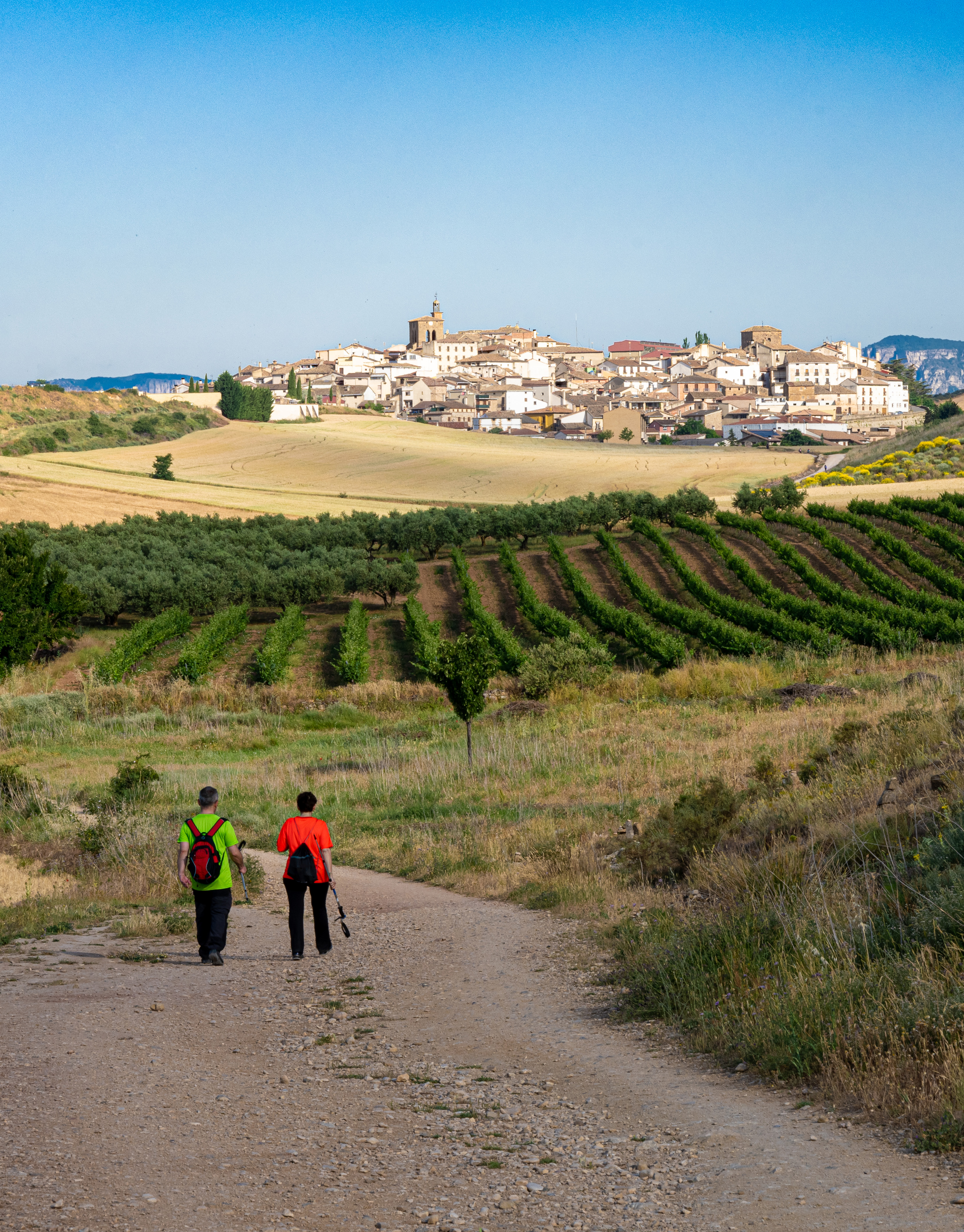 Camino Pilgrems