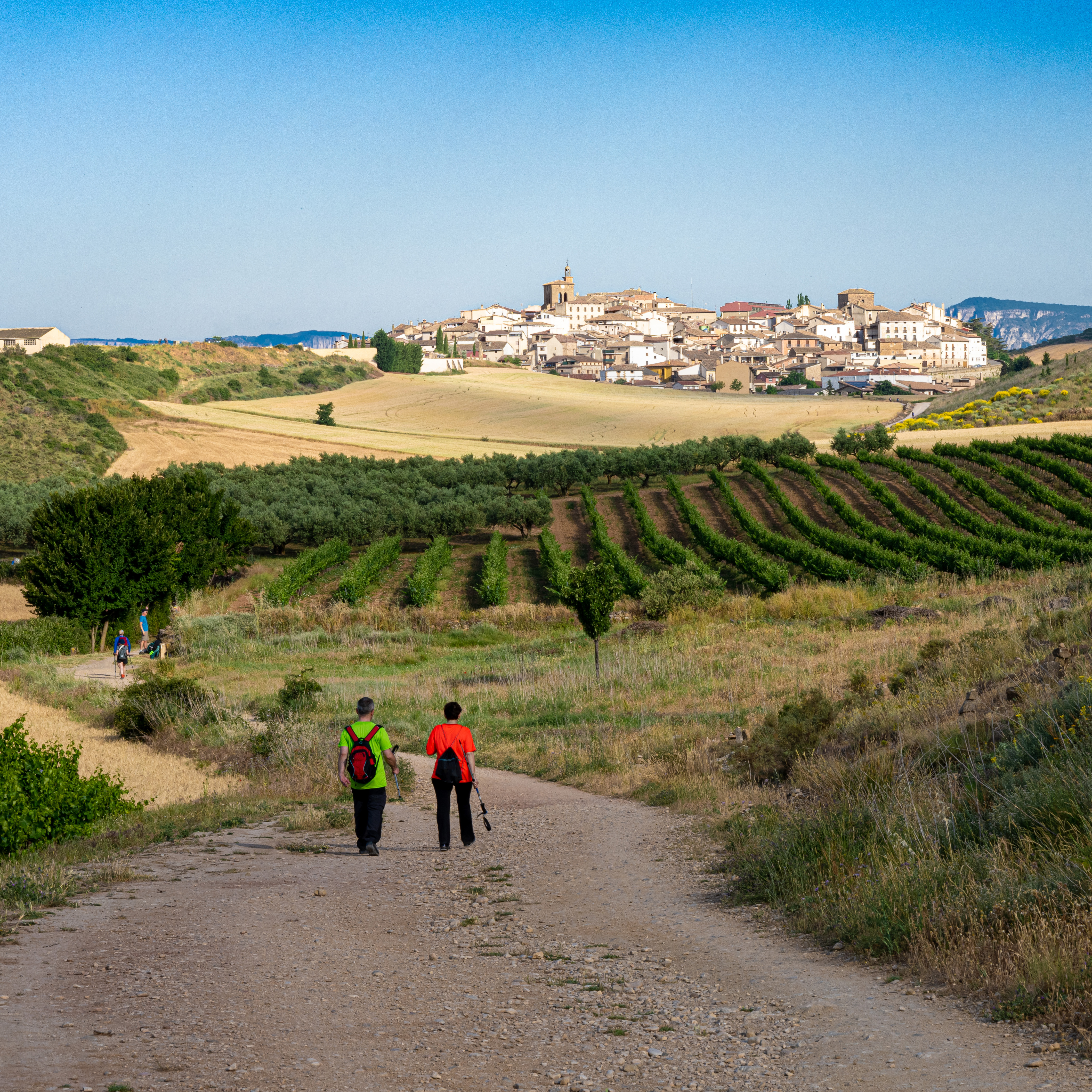 Camino Pilgrams