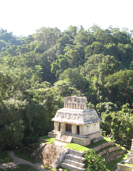 Sacred site of Yaxchilán in Mexico